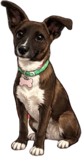 Caricatura de Tita, nuestra perrita, sentada con su collar verde